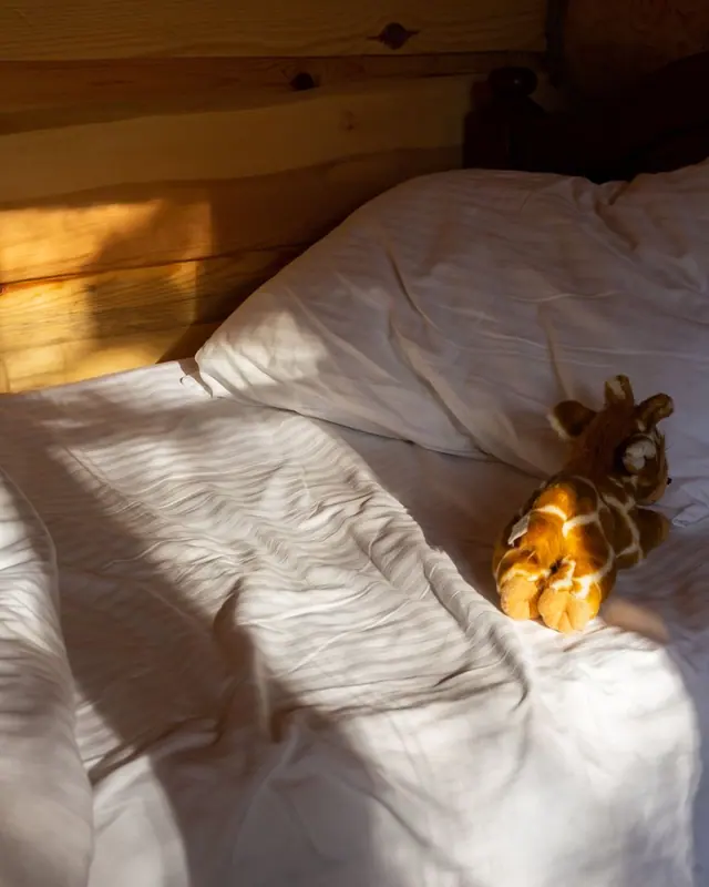 A small toy giraffe on a sunlit bed in a wooden cabin